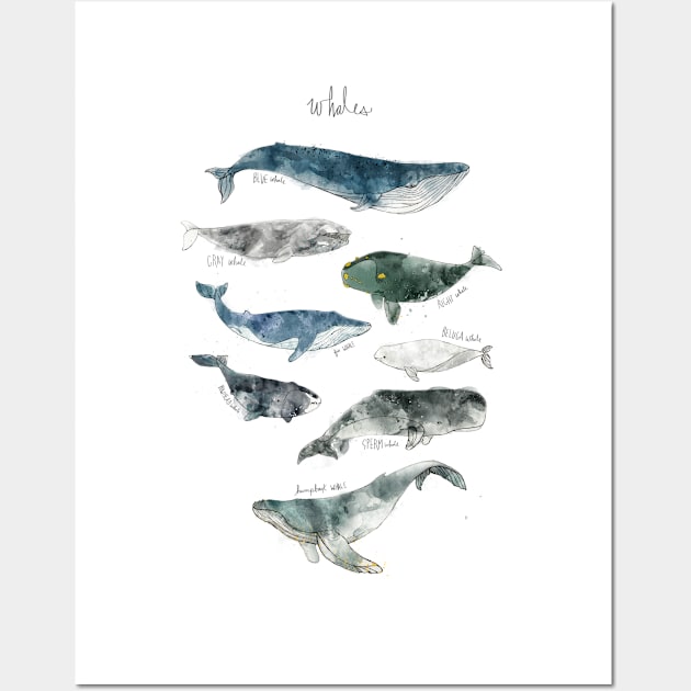 Whales Wall Art by Amy Hamilton